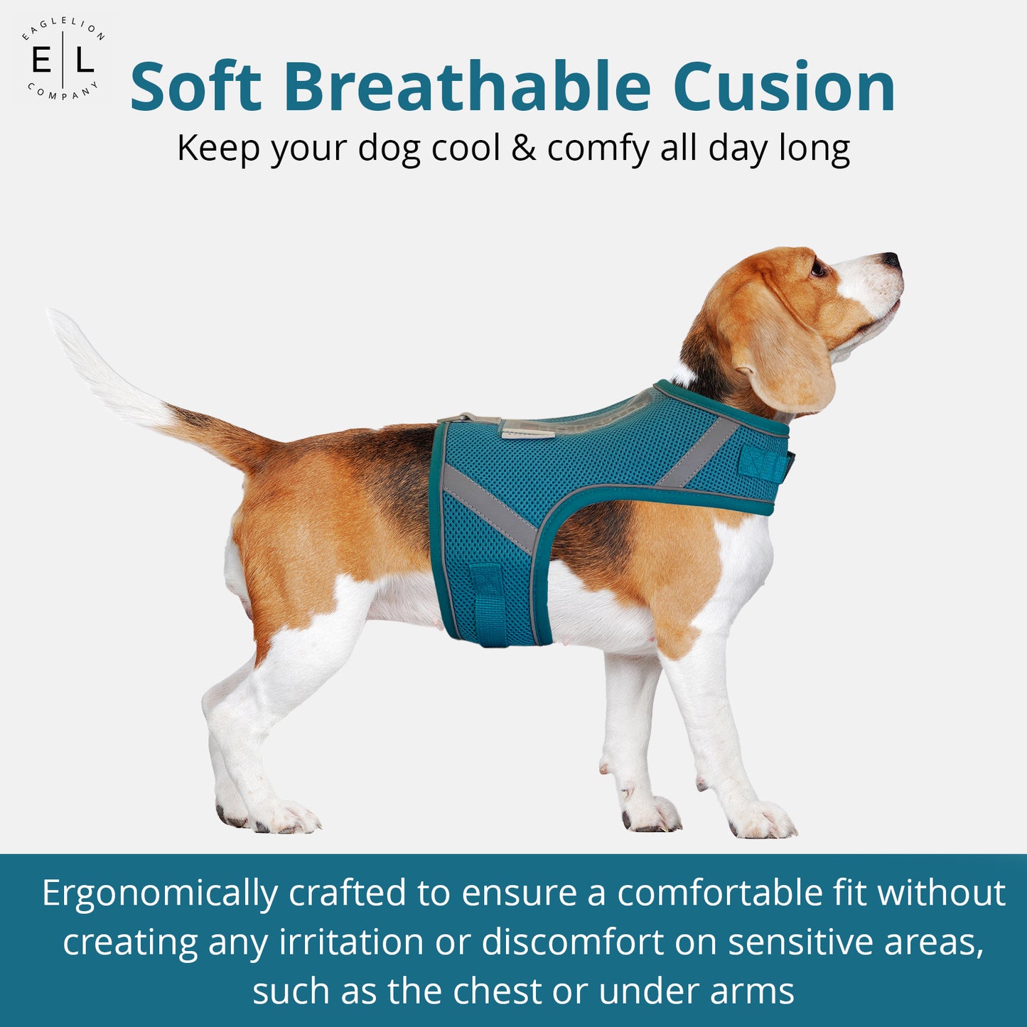 Dog Harness with thermometer